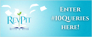 RevPit Enter #10Queries Burron